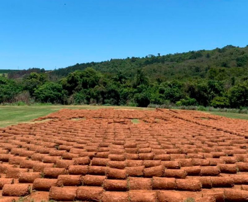 Venda de Grama