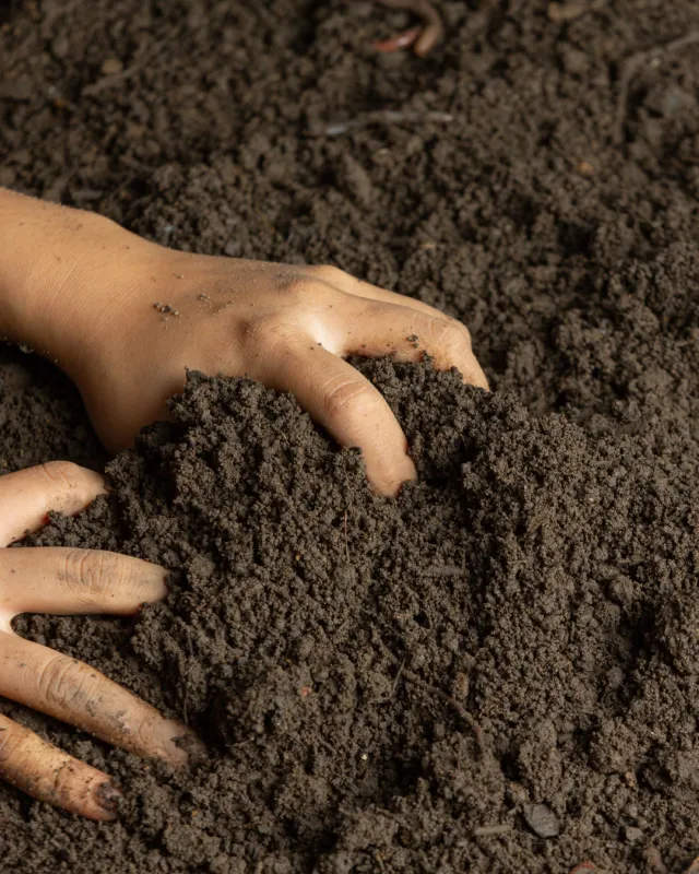 Venda de terra para plantio de grama